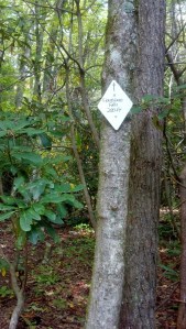 IMG_20131003_114236_842