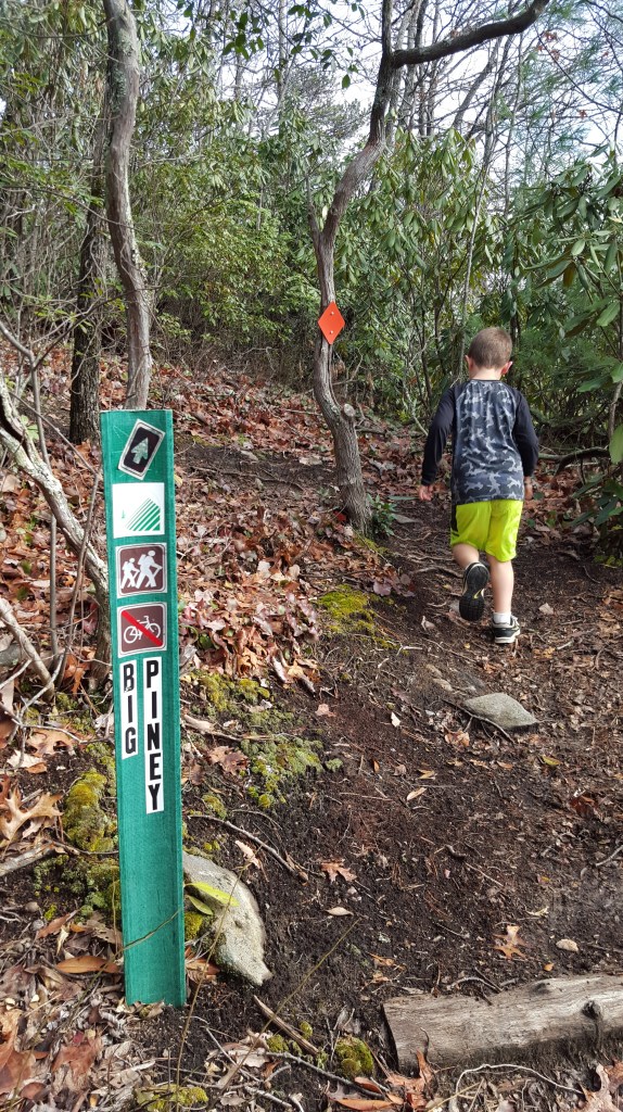Turn right onto Big Piney Trail