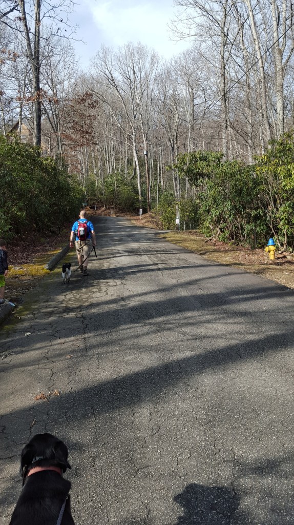 Walking up Harmony Drive