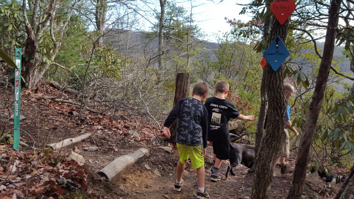 Rejoining Big Piney Trail