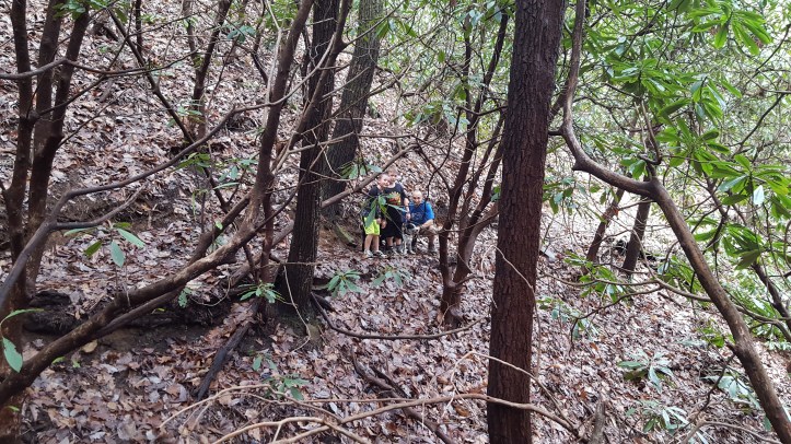Final Creek Crossing before reaching the car