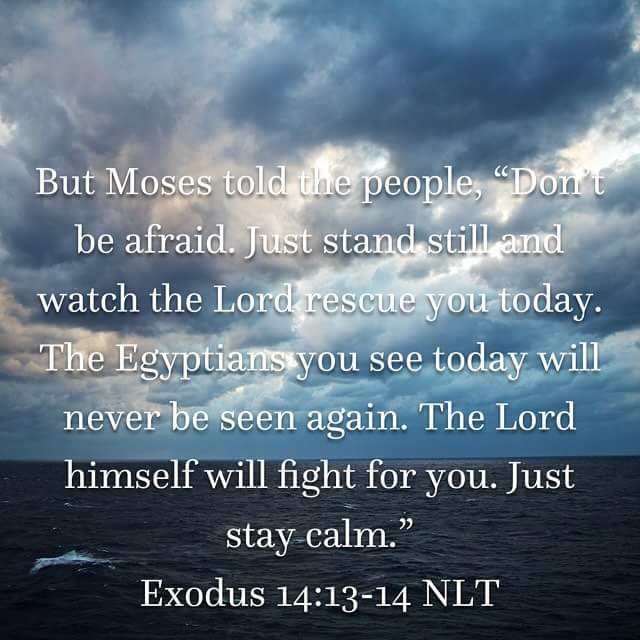 FB_IMG_1506338662885